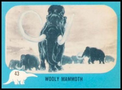 43 Wooly Mammoth